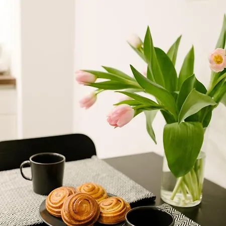 Traditional And Warm Latvian Apartment Riga